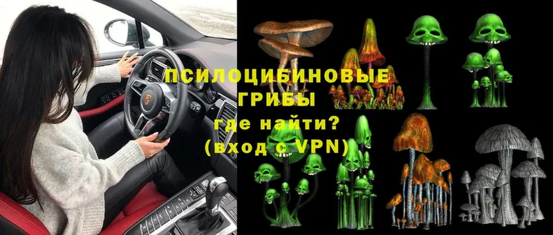 Псилоцибиновые грибы MAGIC MUSHROOMS  Байкальск 